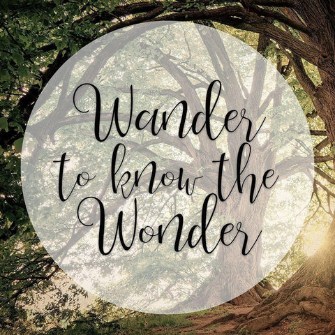 Wander Wonder Gold Ornate Wood Framed Art Print with Double Matting by Bailey, Ann