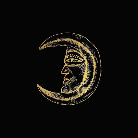 Sun Moon Gold 2 Black Ornate Wood Framed Art Print with Double Matting by Bailey, Ann