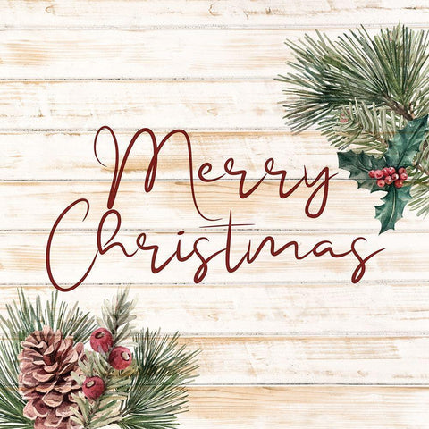 Merry Christmas White Modern Wood Framed Art Print by Bailey, Ann