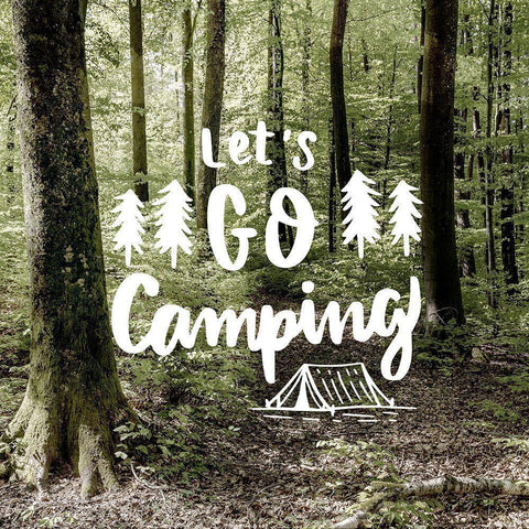 Lets Go Camping Black Modern Wood Framed Art Print with Double Matting by Bailey, Ann