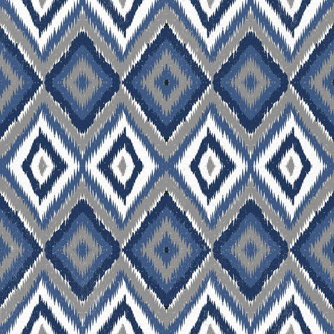 Ikat Blues Black Ornate Wood Framed Art Print with Double Matting by Bailey, Ann