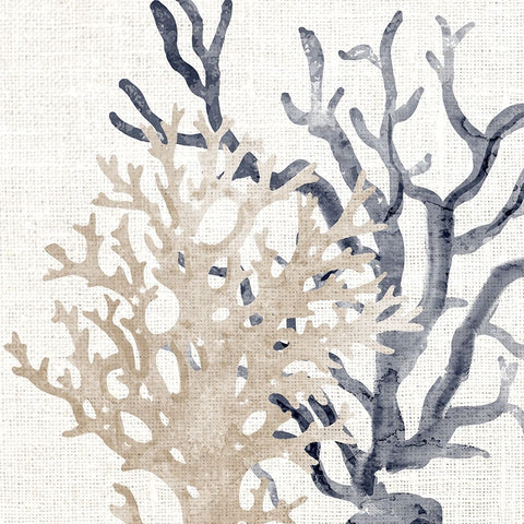 Coral Blue And Sand 2 White Modern Wood Framed Art Print with Double Matting by Bailey, Ann