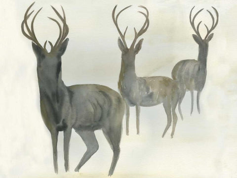 Deer Trio White Modern Wood Framed Art Print with Double Matting by Dyer, Beverly