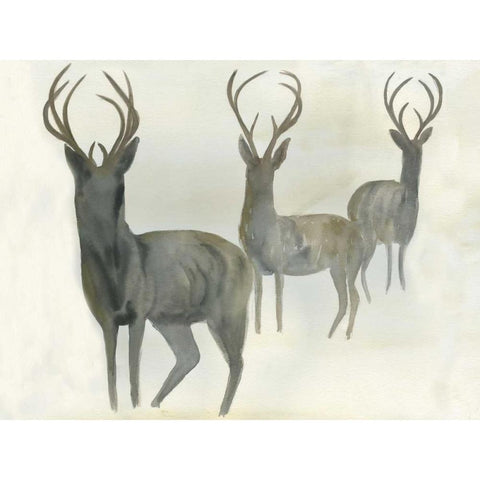 Deer Trio Black Modern Wood Framed Art Print with Double Matting by Dyer, Beverly