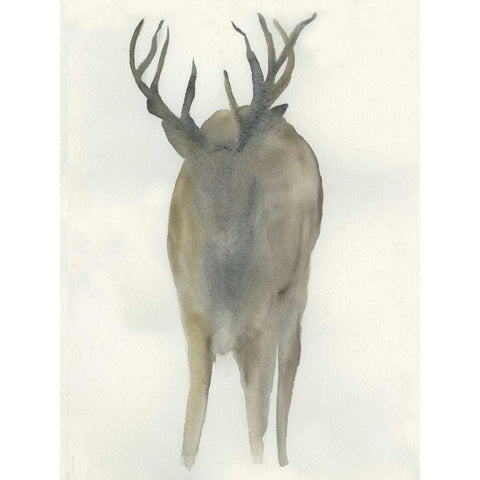 Solo Deer Black Modern Wood Framed Art Print with Double Matting by Dyer, Beverly