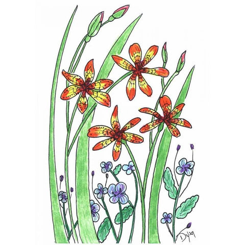 Blackberry Lily Black Modern Wood Framed Art Print with Double Matting by Dyer, Beverly