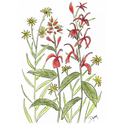 Cardinal Flower Black Modern Wood Framed Art Print with Double Matting by Dyer, Beverly