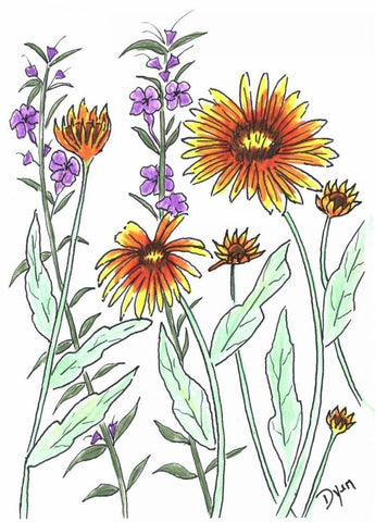 Common Blanket Flower White Modern Wood Framed Art Print with Double Matting by Dyer, Beverly
