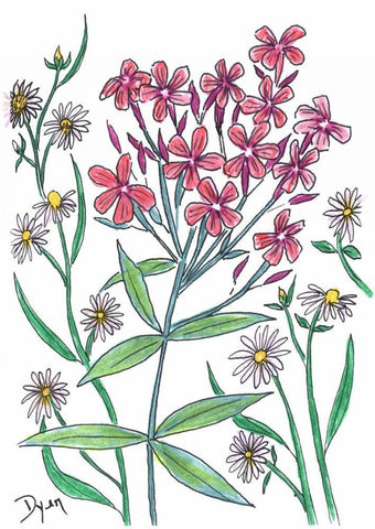 Summer Phlox White Modern Wood Framed Art Print with Double Matting by Dyer, Beverly