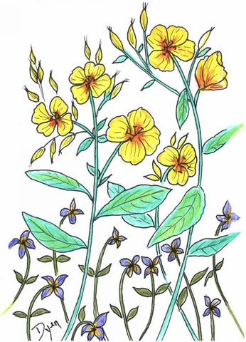 Sundrops White Modern Wood Framed Art Print with Double Matting by Dyer, Beverly