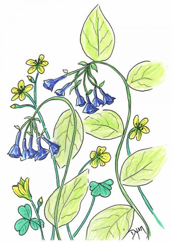 Virginia Bluebells White Modern Wood Framed Art Print with Double Matting by Dyer, Beverly