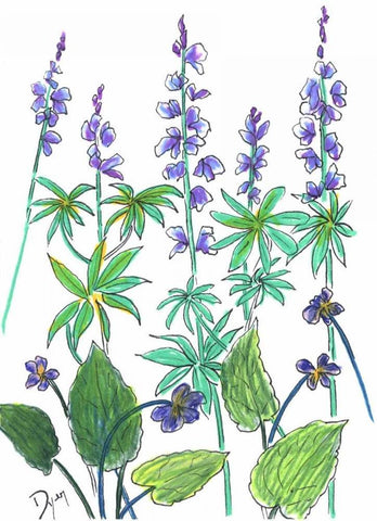Wild Lupine Black Ornate Wood Framed Art Print with Double Matting by Dyer, Beverly