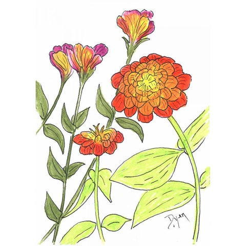 Zinnia White Modern Wood Framed Art Print by Dyer, Beverly