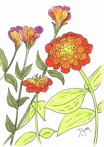 Zinnia White Modern Wood Framed Art Print with Double Matting by Dyer, Beverly