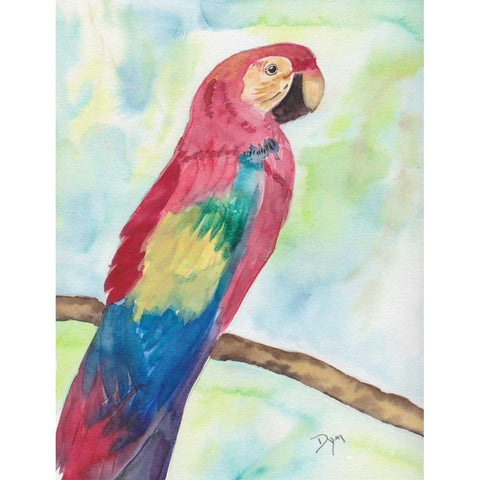 Tropical Perch II Black Modern Wood Framed Art Print with Double Matting by Dyer, Beverly