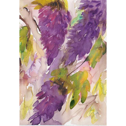 Wisteria II Black Modern Wood Framed Art Print with Double Matting by Dyer, Beverly