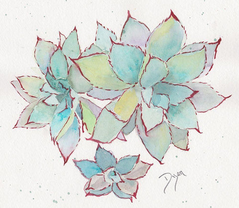 Succulent ll White Modern Wood Framed Art Print with Double Matting by Dyer, Beverly