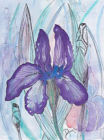 Violet Iris White Modern Wood Framed Art Print with Double Matting by Dyer, Beverly