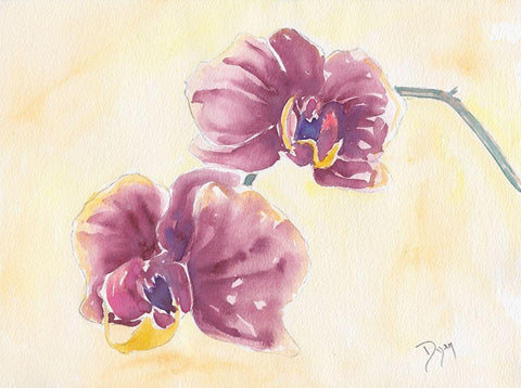 Graceful Orchid White Modern Wood Framed Art Print with Double Matting by Dyer, Beverly