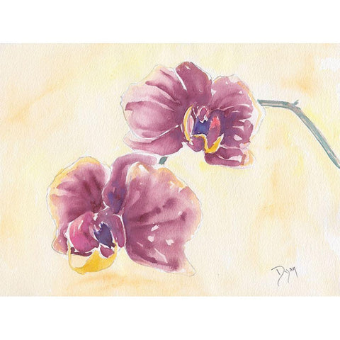 Graceful Orchid Black Modern Wood Framed Art Print by Dyer, Beverly