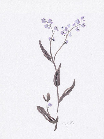 Lavender Wildflowers I Black Ornate Wood Framed Art Print with Double Matting by Dyer, Beverly