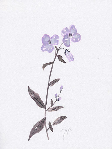 Lavender Wildflowers II White Modern Wood Framed Art Print with Double Matting by Dyer, Beverly