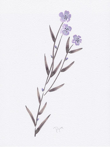 Lavender Wildflowers III White Modern Wood Framed Art Print with Double Matting by Dyer, Beverly