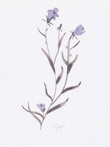 Lavender Wildflowers IV White Modern Wood Framed Art Print with Double Matting by Dyer, Beverly