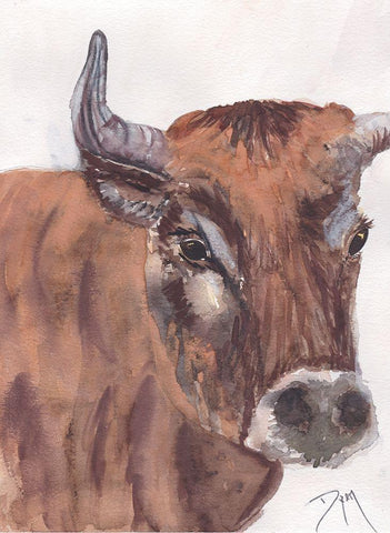 Fryer the Ox White Modern Wood Framed Art Print with Double Matting by Dyer, Beverly