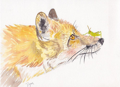 Golden Fox Play White Modern Wood Framed Art Print with Double Matting by Dyer, Beverly