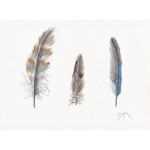 Feather Collection Black Modern Wood Framed Art Print by Dyer, Beverly