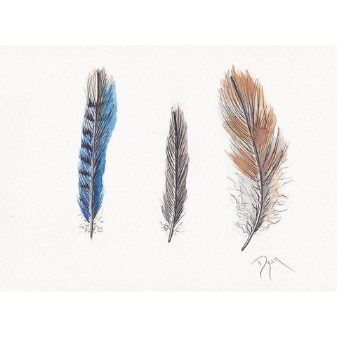 Feather Collection II Black Modern Wood Framed Art Print with Double Matting by Dyer, Beverly