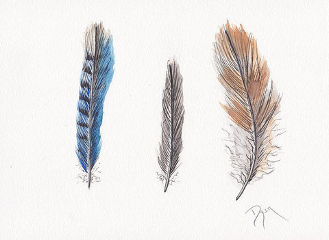 Feather Collection II White Modern Wood Framed Art Print with Double Matting by Dyer, Beverly