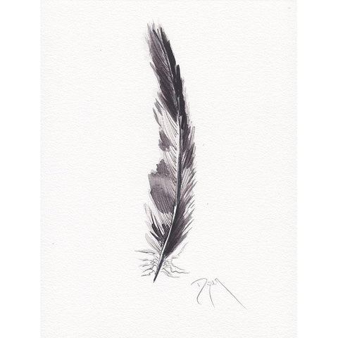 Feathers Black and White Black Modern Wood Framed Art Print with Double Matting by Dyer, Beverly