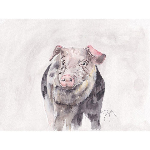 Pig Black Modern Wood Framed Art Print by Dyer, Beverly