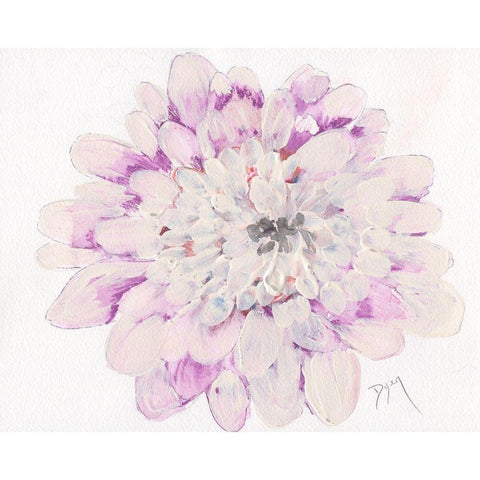 Pale Zinnia 2020 White Modern Wood Framed Art Print by Dyer, Beverly