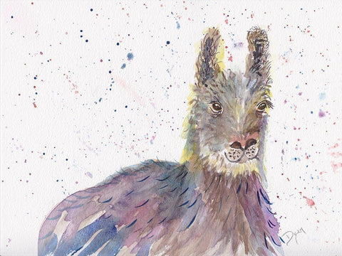 Llama Senor White Modern Wood Framed Art Print with Double Matting by Dyer, Beverly