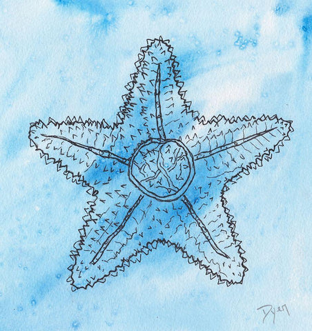 Coastal Starfish White Modern Wood Framed Art Print with Double Matting by Dyer, Beverly