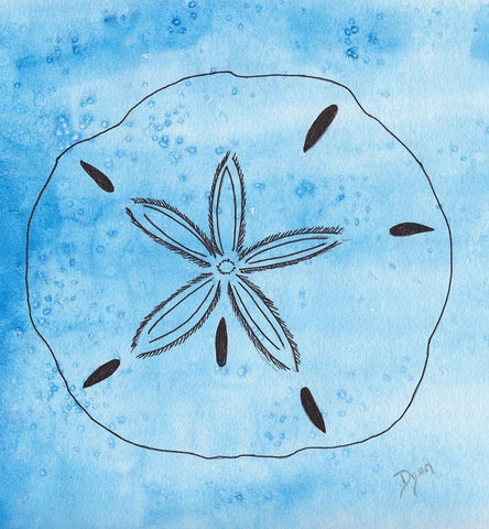 Coastal Sand Dollar White Modern Wood Framed Art Print with Double Matting by Dyer, Beverly