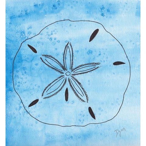 Coastal Sand Dollar Black Modern Wood Framed Art Print with Double Matting by Dyer, Beverly