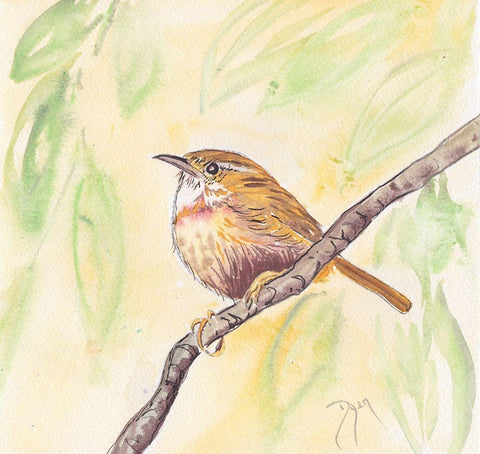 Sunny Wren White Modern Wood Framed Art Print with Double Matting by Dyer, Beverly