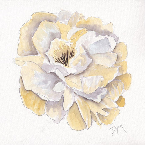 Backyard Peony I Black Ornate Wood Framed Art Print with Double Matting by Dyer, Beverly