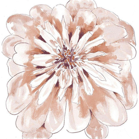 Blush Peony Black Modern Wood Framed Art Print with Double Matting by Dyer, Beverly