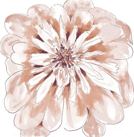 Blush Peony White Modern Wood Framed Art Print with Double Matting by Dyer, Beverly