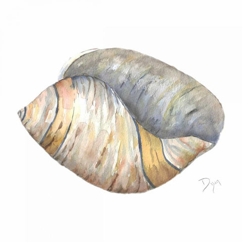 Sea Shell Neutral 1 Black Modern Wood Framed Art Print with Double Matting by Dyer, Beverly