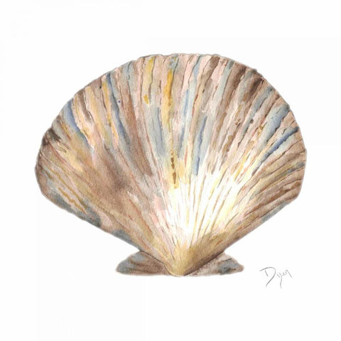 Sea Shell Neutral 2 Black Modern Wood Framed Art Print with Double Matting by Dyer, Beverly