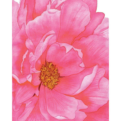 Pink Flower 2 Black Modern Wood Framed Art Print with Double Matting by Gosavi, Bhakti