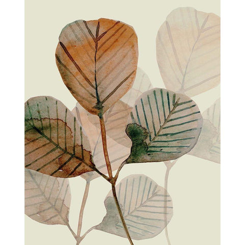 Brown Leaves 2 Black Modern Wood Framed Art Print with Double Matting by Boho Hue Studio