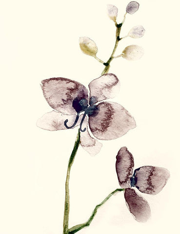 Dark Orchid 1 Black Ornate Wood Framed Art Print with Double Matting by Boho Hue Studio