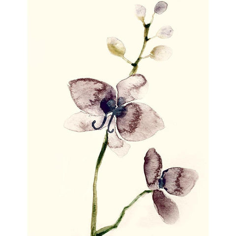 Dark Orchid 1 Black Modern Wood Framed Art Print with Double Matting by Boho Hue Studio